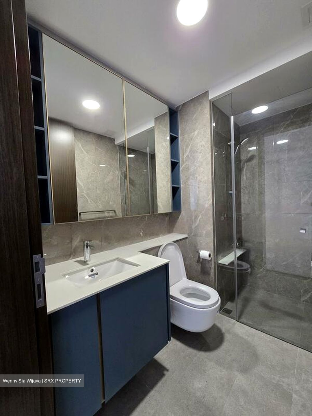 Clavon (D5), Apartment #470395051